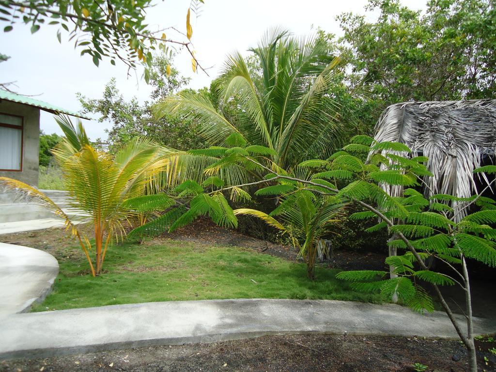 Lodge Cartago Bay *